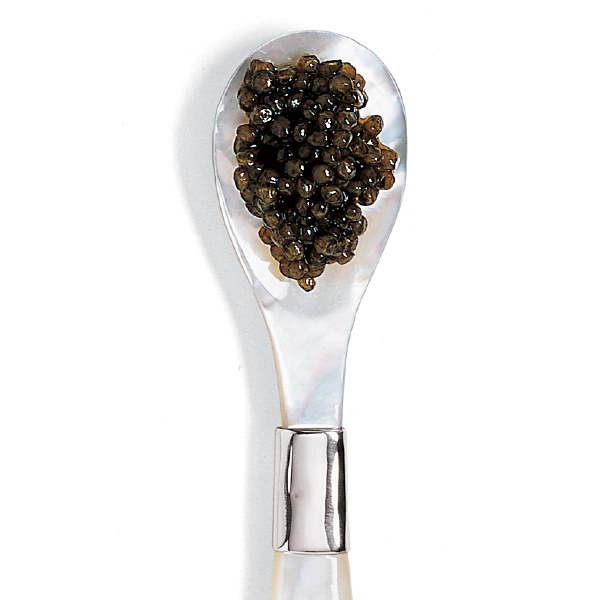 American Beluga Caviar
